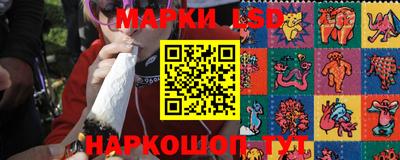 амф Гусев