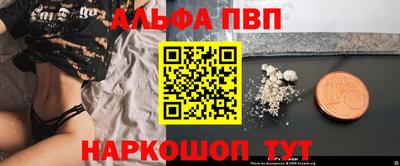 амф Гусев