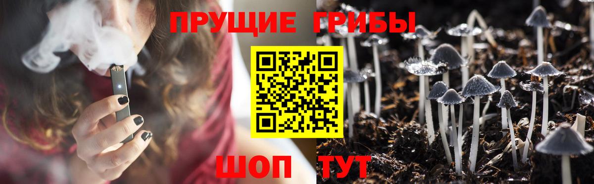 сколько стоит  Псилоцибиновые грибы мицелий  Можайск  Вход с VPN  Псилоцибиновые грибы мицелий 